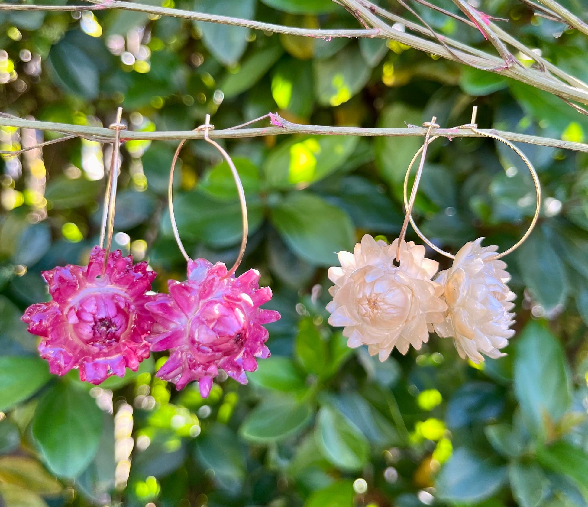 Handmade Real Dried Flower Earrings. Real pink, white, and yellow strawflowers. 18K gold plated hoops.