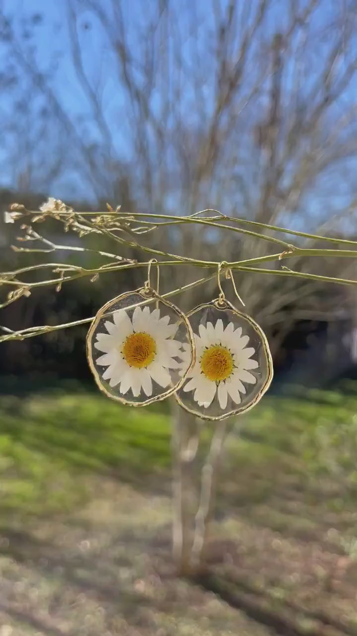Handmade minimalist Earrings. Made with pressed Daisy flowers. Hypoallergenic Earrings. 14K gold Plated.