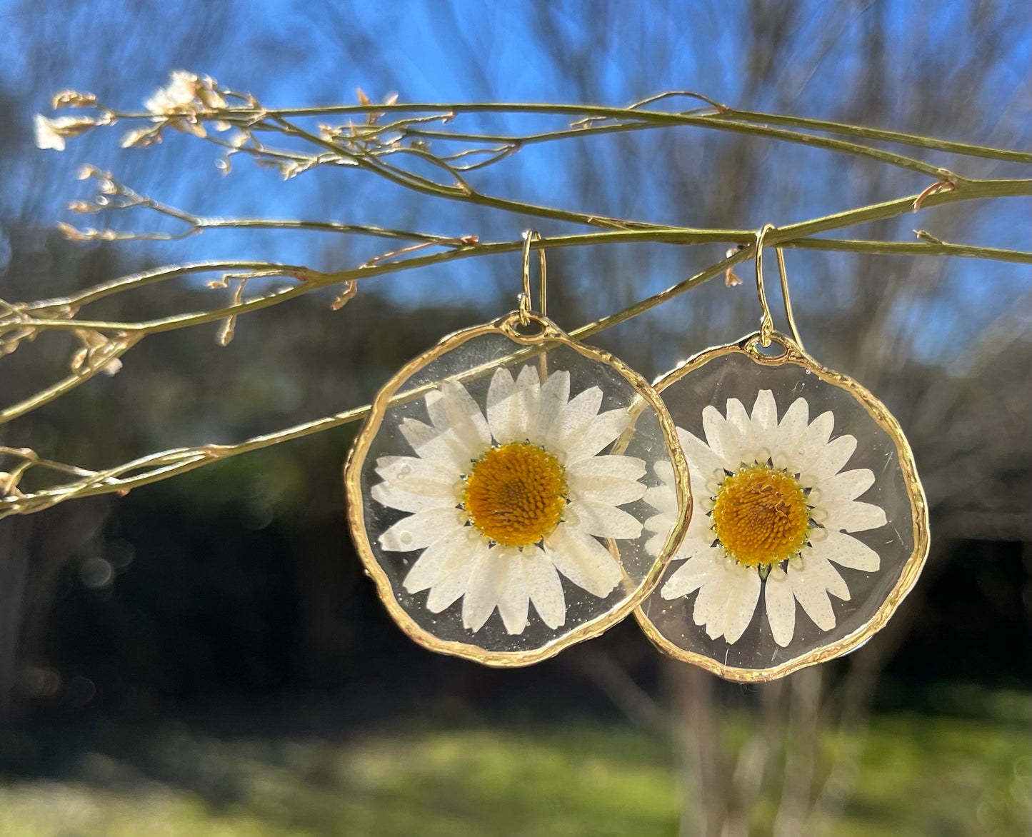 Handmade minimalist Earrings. Made with pressed Daisy flowers. Hypoallergenic Earrings. 14K gold Plated.