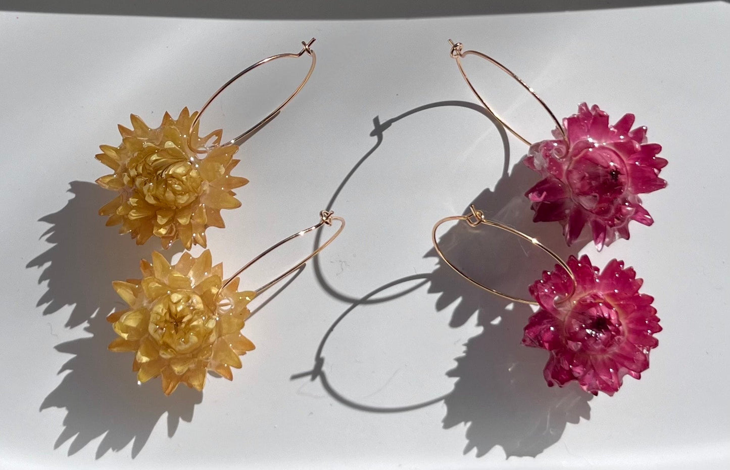 Handmade Real Dried Flower Earrings. Real pink, white, and yellow strawflowers. 18K gold plated hoops.